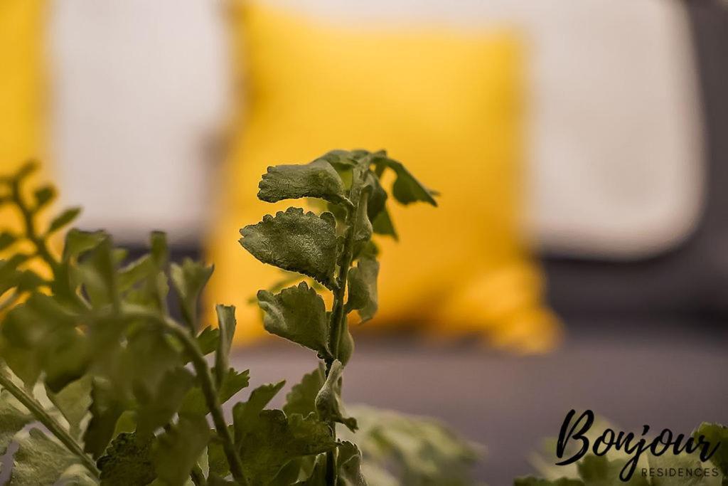Spacious 2Br-1Ba - Grassmarket - Free Parking By Bonjour Residences אדינבורו מראה חיצוני תמונה